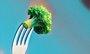 O império do brócolis: Grano, líder em vegetais congelados, faz aquisição e mira faturar R$ 600 mi