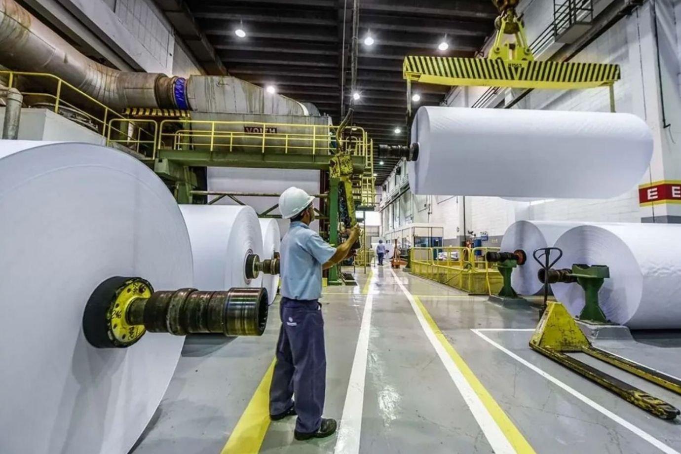 Suzano: radas para manutenção. Para o quarto trimestre, a administração da companhia está animada de que haja uma redução percentual na casa de "um dígito" (Germano Lüders/Exame)