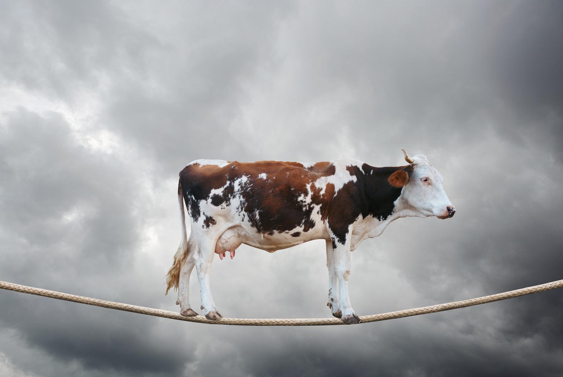 Fusão em modo de espera: Previ e Alex Fontana, com menos de 5% de participação, vem questionando a operação